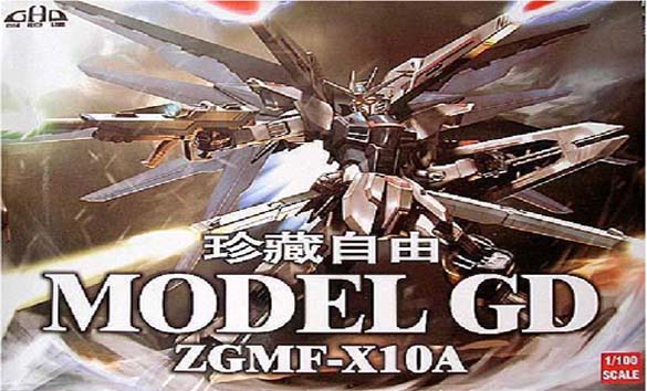 MG Freedom Gundam Extra Finish