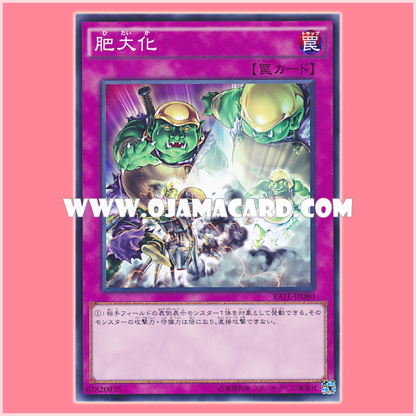 RATE-JP080 : Macromorph / Enlargement (Normal Rare)