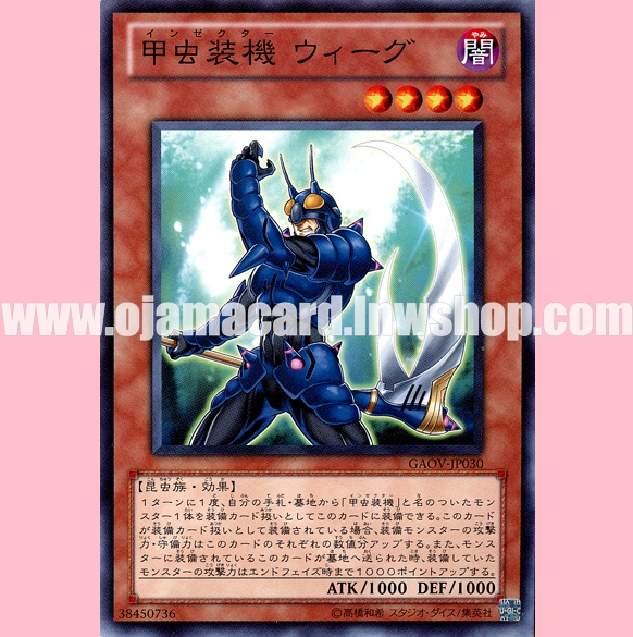 GAOV-JP030 : Inzektor Earwig (Common)