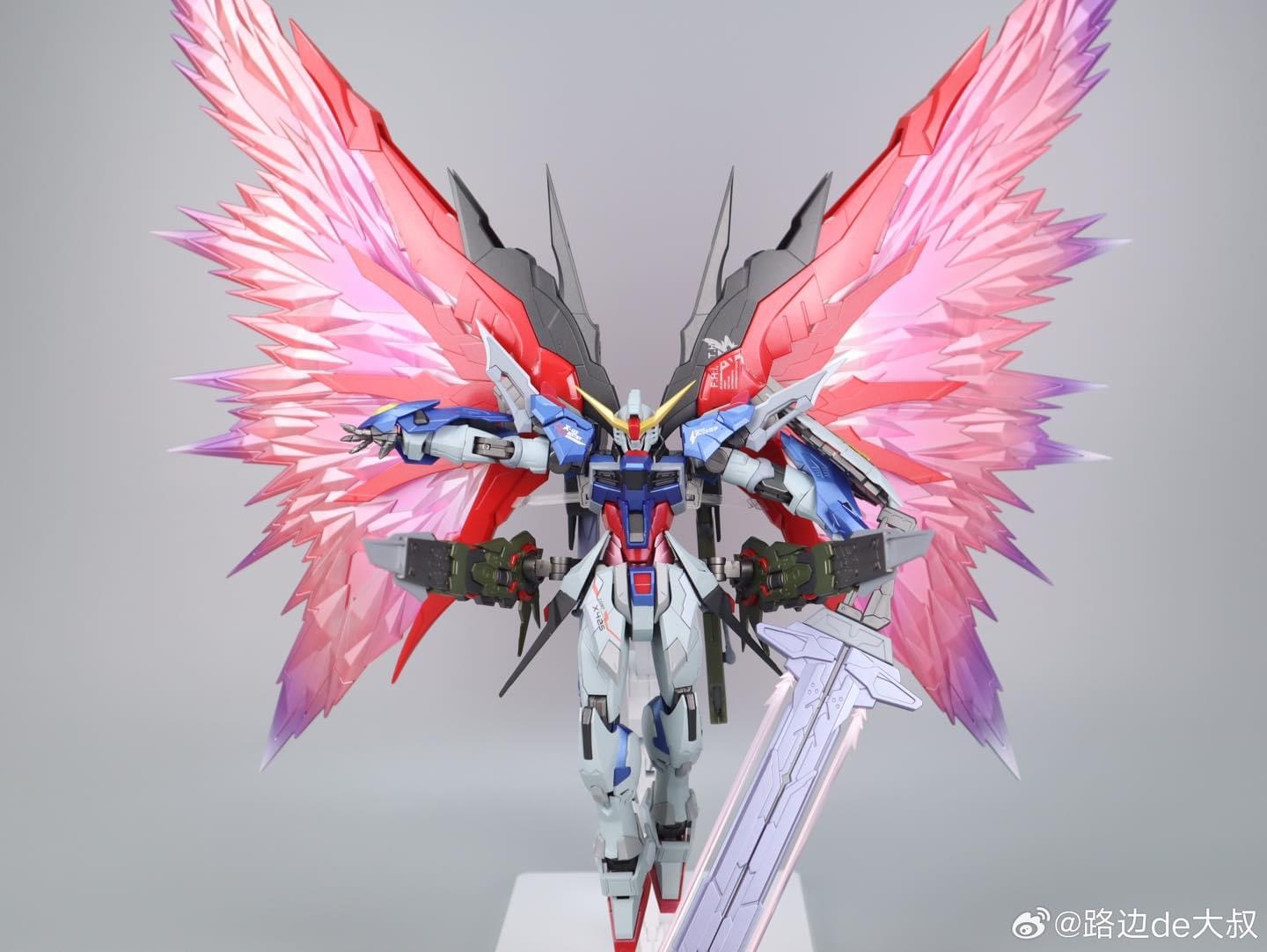 MG 1/100 Destiny Ver. + Wing of Light part (8828) [Daban]