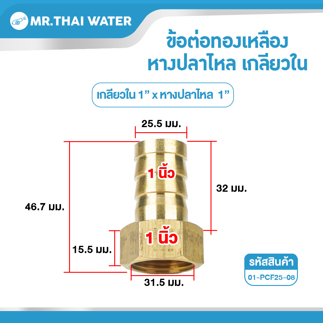 01-PCF25-08 ข้อต่อทองเหลืองเกลียวใน-เสียบสายหางปลาไหล 1 นิ้ว x 1 นิ้ว
