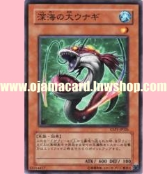 EXP1-JP026 : Deepsea Macrotrema (Common)