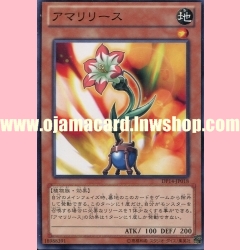 DP14-JP018 : Amarylease (Common)