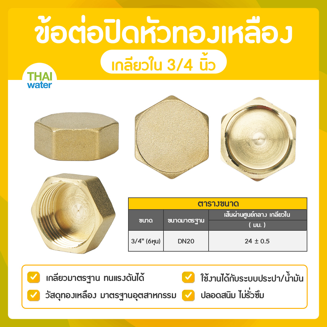 01-DN20 ข้อต่อปิดหัวทองเหลืองเกลียวใน 3/4 นิ้ว