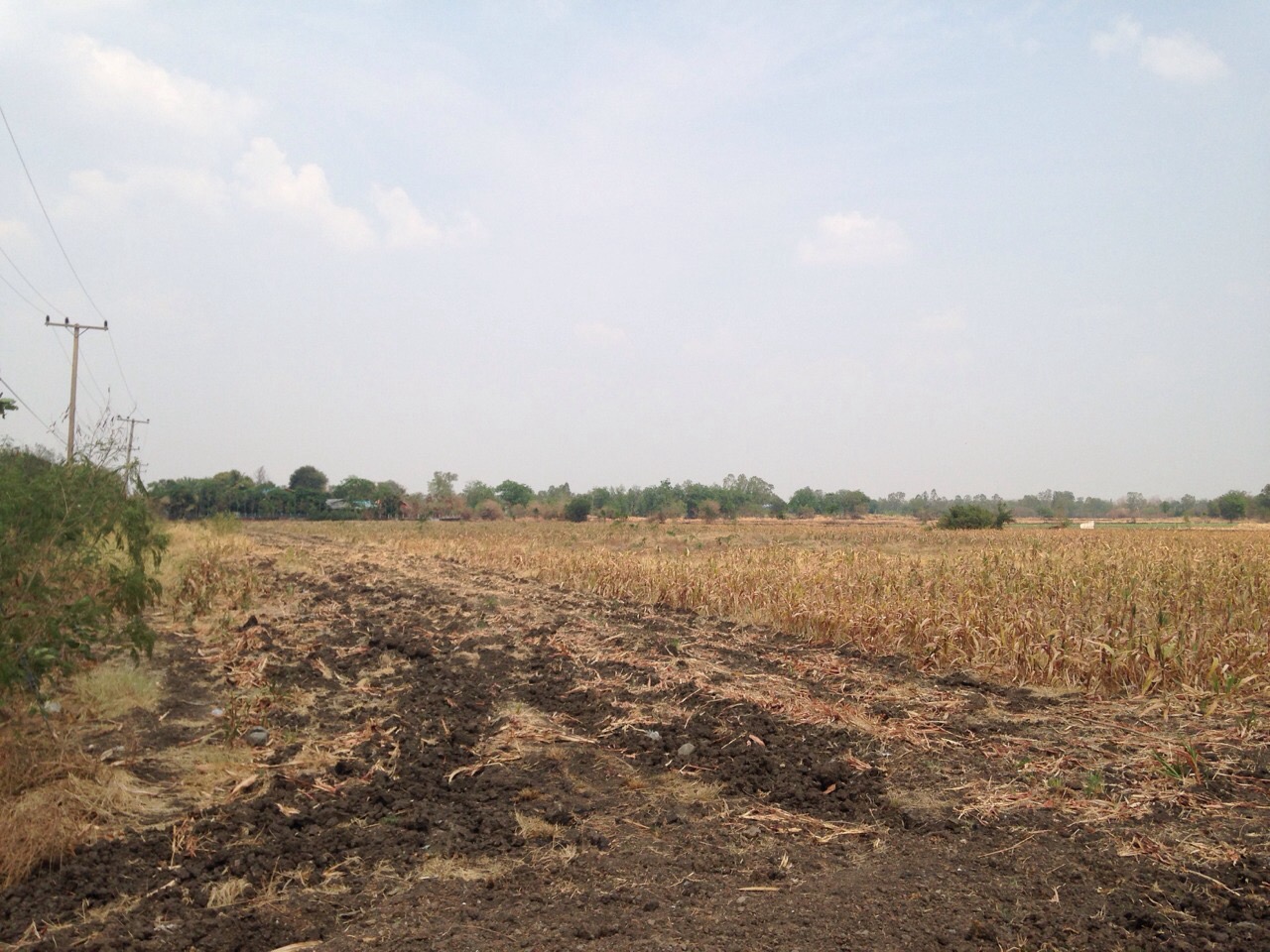 ขายที่ดินทำเลดี พร้อมโฉนดครุฑแดง ต.ช่องแค อ.ตาคลี จ.นครสวรรค์ จำนวน 62 ไร่ 1 งาน (ไม่เเบ่งขาย) เจ้าของขายเอง