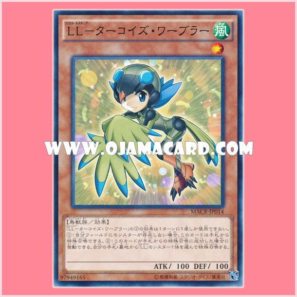 MACR-JP014 : Lyrilusc - Turquoise Warbler / Lyrical Luscinia - Turquoise Warbler (Common)