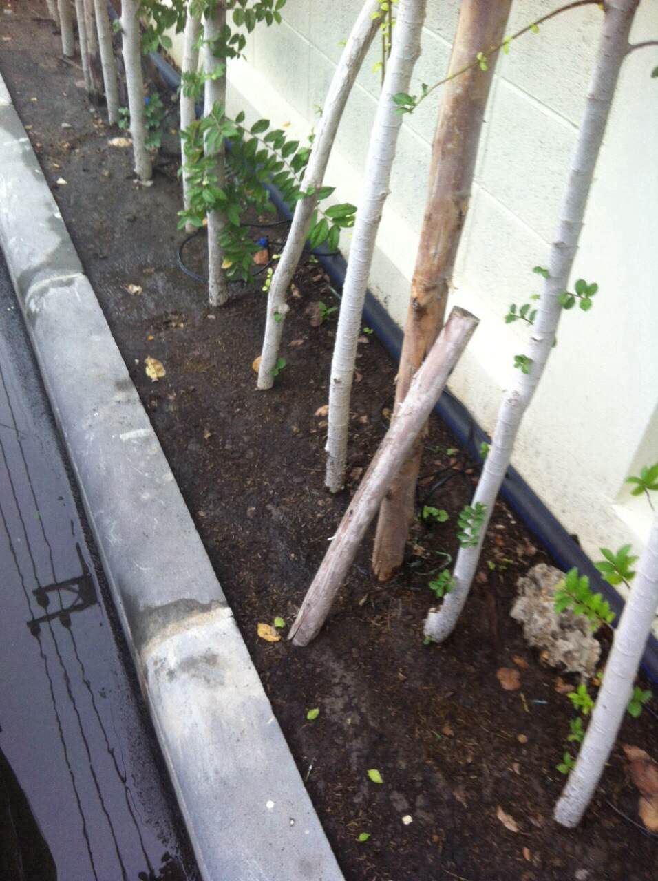 ออกแบบ รับเหมางานระบบรดน้ำต้นไม้และระบบพ่นหมอก แรงดันสูง แรงดันต่ำ