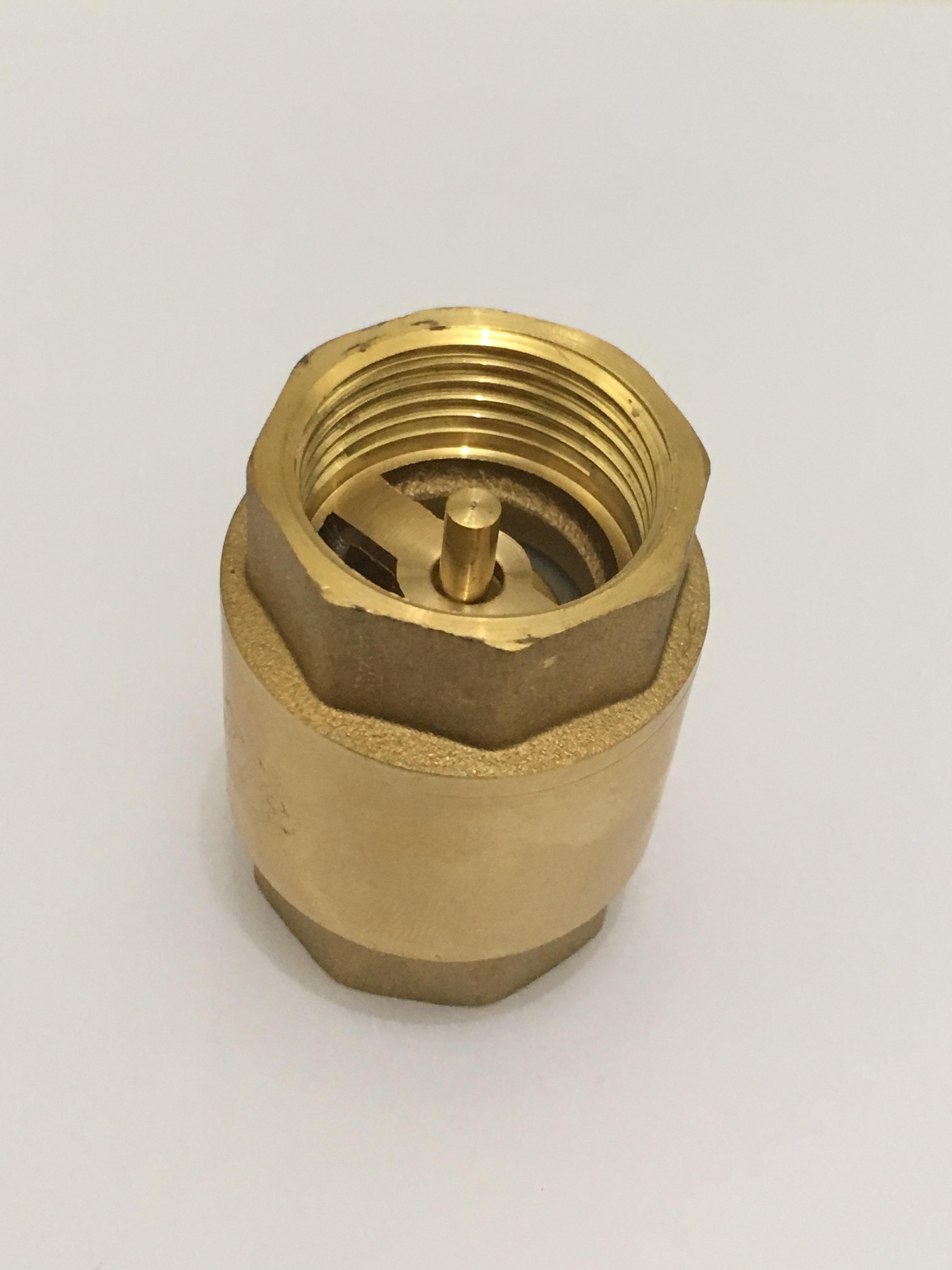 สปริงเช็ควาล์ว 2"