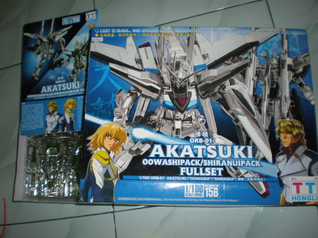 HG SEED 1/100 Akatsuki Gundam (Silver Ver.)