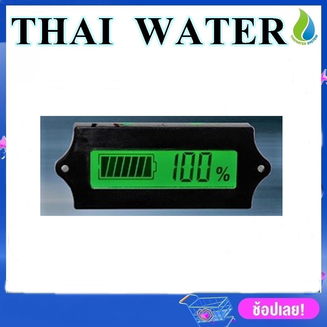 เครื่องวัดค่าความจุแบตเตอรี่ 12V / 24V