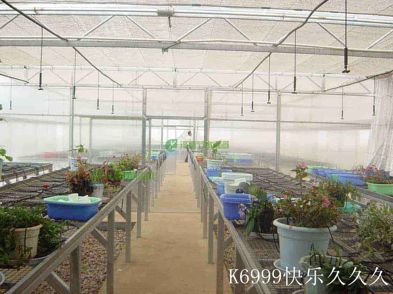 05-MSP-20-BK MSP-20 หัวพ่นหมอก 4 ทิศทาง OK Fog-01 + สายยาว 50 ซม.