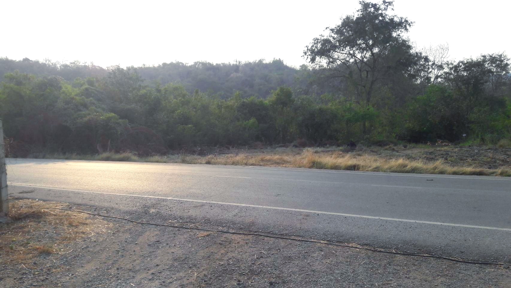 ขายที่ดินทำเลดี พร้อมโฉนดครุฑแดง ต.ช่องแค อ.ตาคลี จ.นครสวรรค์ จำนวน 62 ไร่ 1 งาน (ไม่เเบ่งขาย) เจ้าของขายเอง