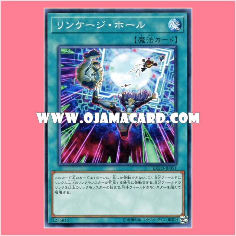 EXFO-JP051 : Linkage Hole (Common)