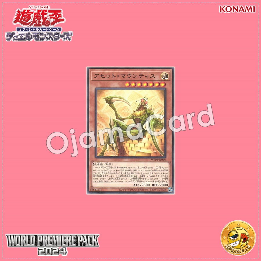 WPP5-JP046 : Asset Mountis (Common)