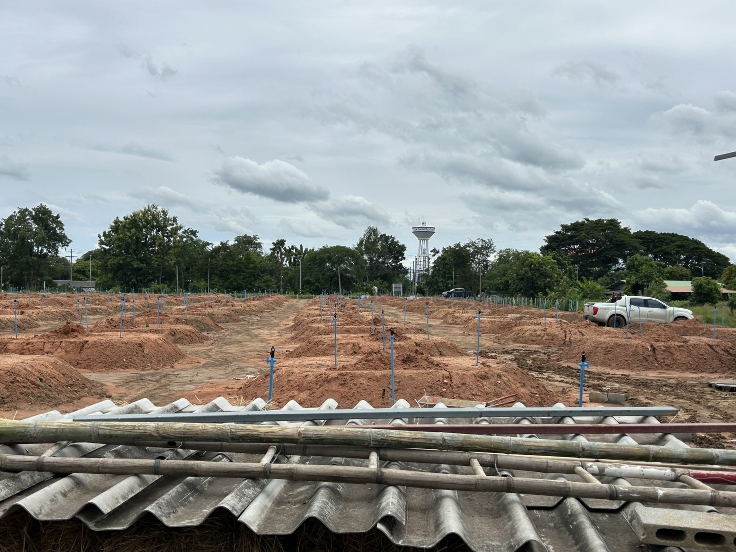 ออกแบบ รับเหมางานระบบรดน้ำต้นไม้และระบบพ่นหมอก แรงดันสูง แรงดันต่ำ