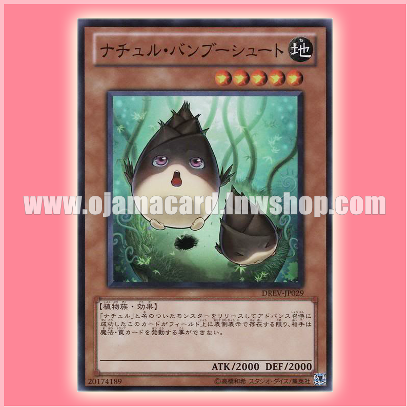 DREV-JP029 : Naturia Bamboo Shoot / Naturu Bamboo Shoot (Super Rare)