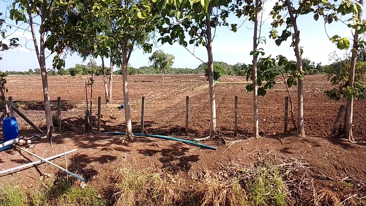 ขายที่ดินทำเลดี พร้อมโฉนดครุฑแดง ต.ช่องแค อ.ตาคลี จ.นครสวรรค์ จำนวน 62 ไร่ 1 งาน (ไม่เเบ่งขาย) เจ้าของขายเอง