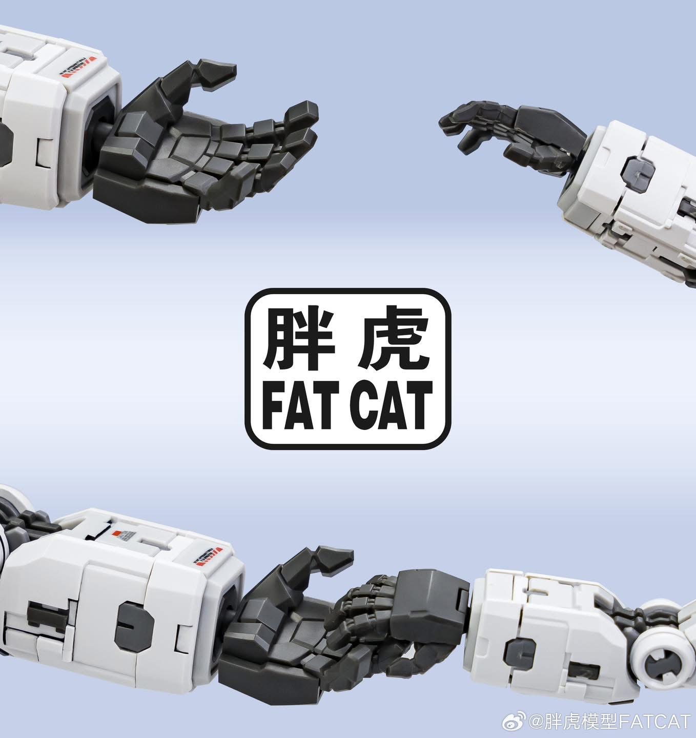 MG 1/100 RX78-2 Ver. 2.0 [Fat Cat]