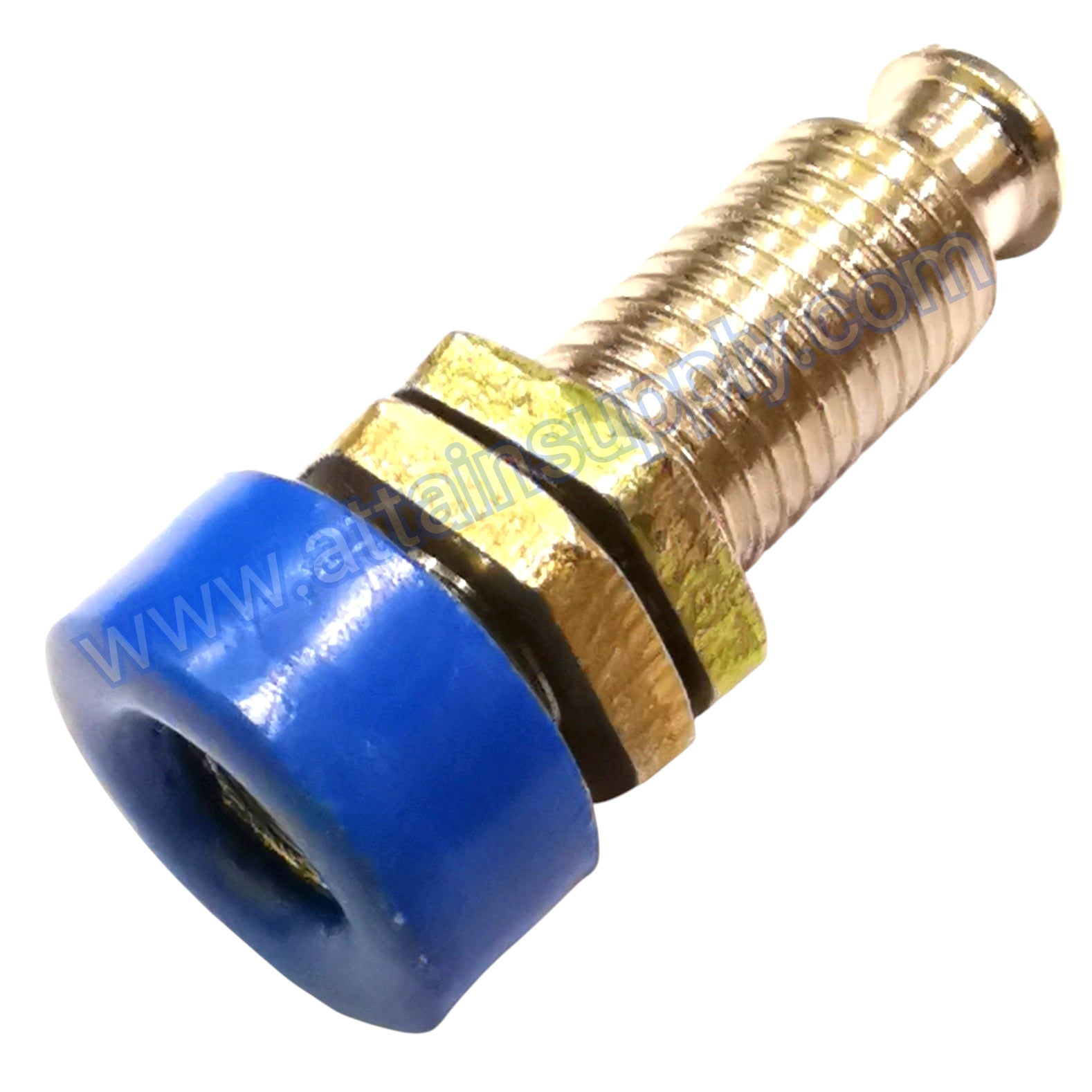 BIDINGPOST STEEL/BLUE
