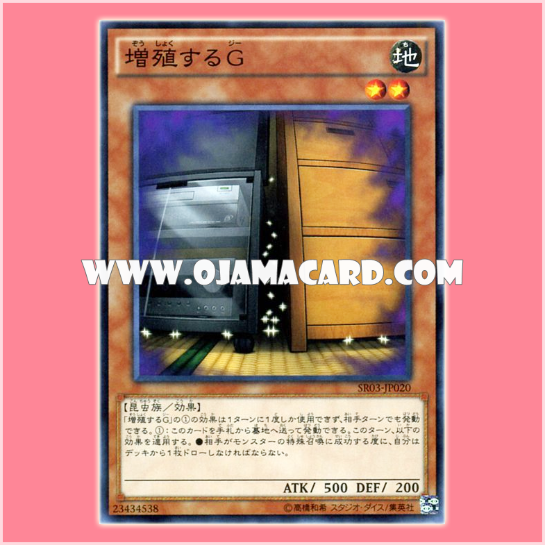SR03-JP020 : Maxx "C" / Multiplying G (Common)