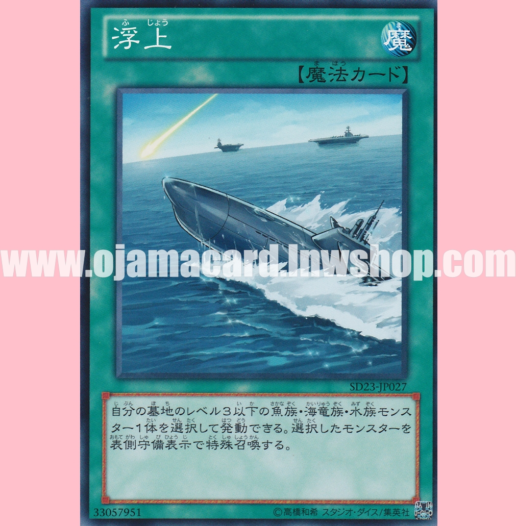 SD23-JP027 : Surface (Common)