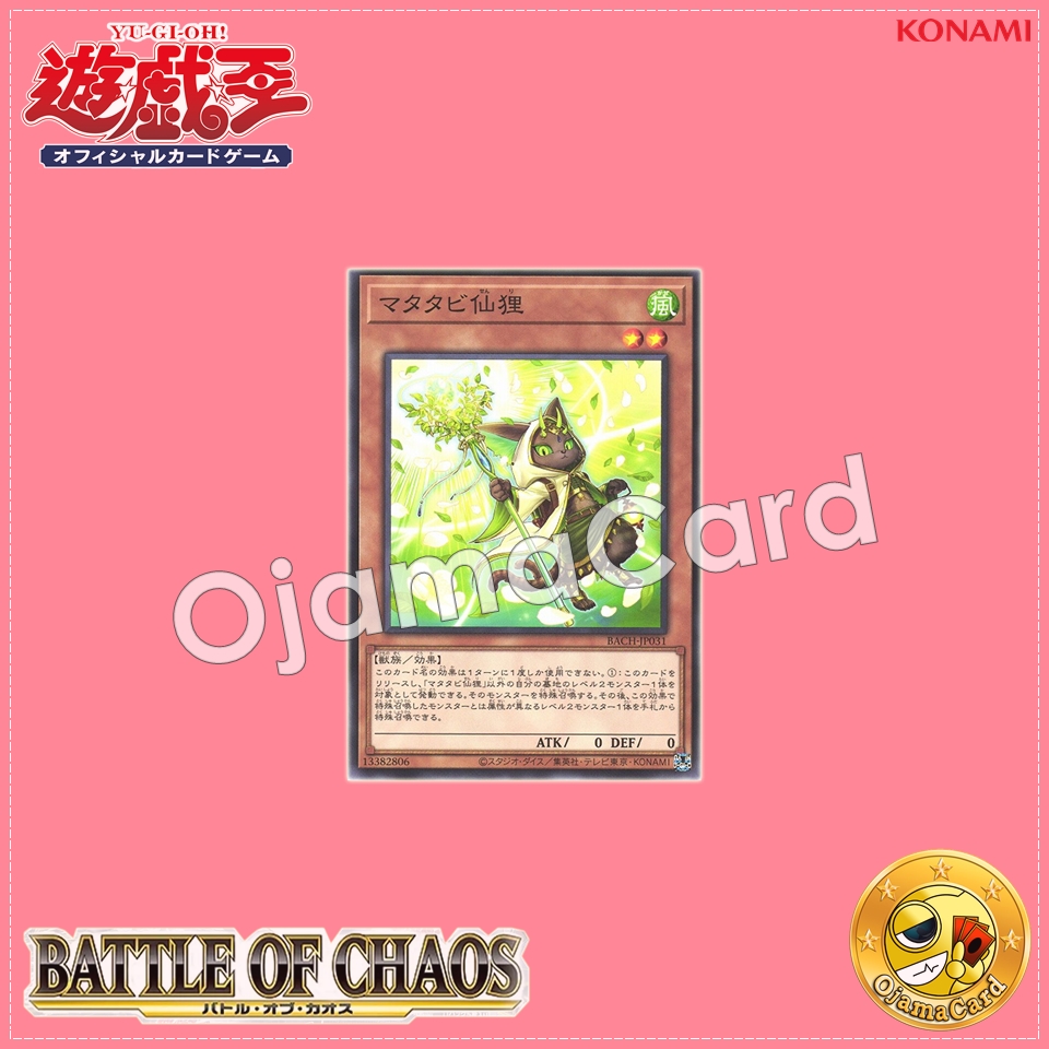 BACH-JP031 : Catnip Li Hua (Common)