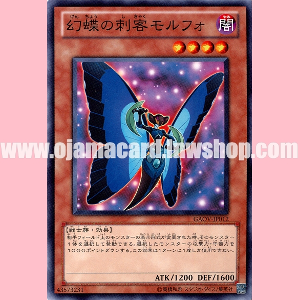 GAOV-JP012 : Morpho Butterspy (Common)