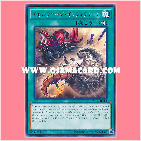 SHVI-JP063 : Amorphage Infection (Rare)