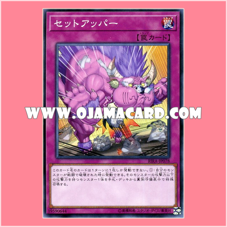 RIRA-JP078 : Set-Upper (Common)