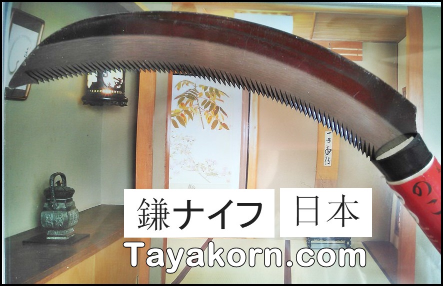 มีดเคียว Japanese Style แบบE