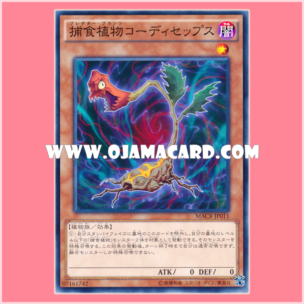 MACR-JP011 : Predaplant Cordyceps / Predator Plants Cordyceps (Common)