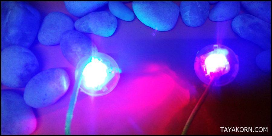 เบเกอรี่ ไวท์สปิน แอลอีดีไลต์ White spin Begleri LED Light TKBG-W3