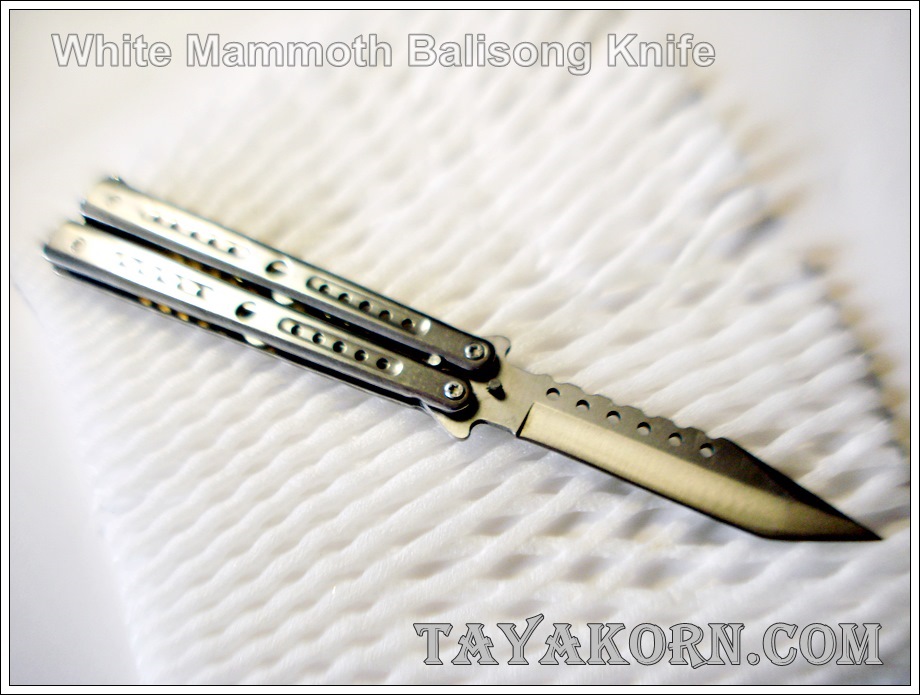 มีดควงไวท์แมมมอธ White Mammoth Balisong TKBS-WM3