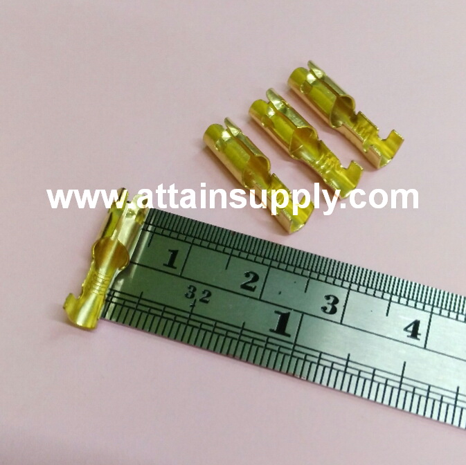 หางปลาทองเหลือง-กลม No.6