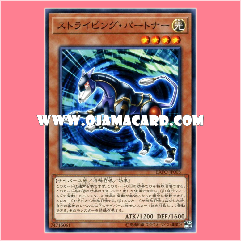 EXFO-JP003 : Striping Partner (Common)