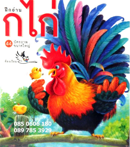 บัตรภาพ สอนก.ไก่-ฮ.ฮูก