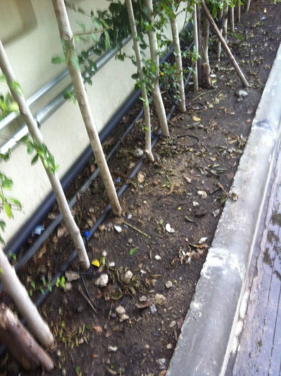 ออกแบบ รับเหมางานระบบรดน้ำต้นไม้และระบบพ่นหมอก แรงดันสูง แรงดันต่ำ