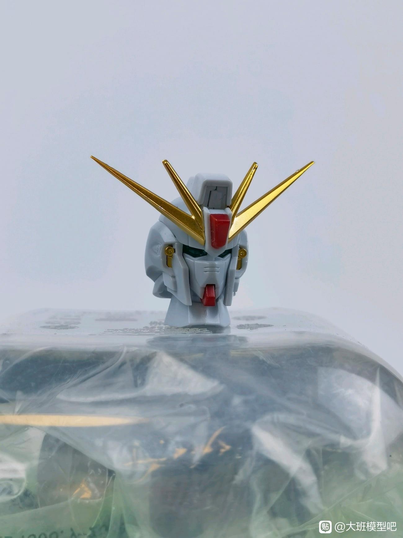 MG 1/100 F91 Ver.MB + MSV Option Set (8821) [Daban]