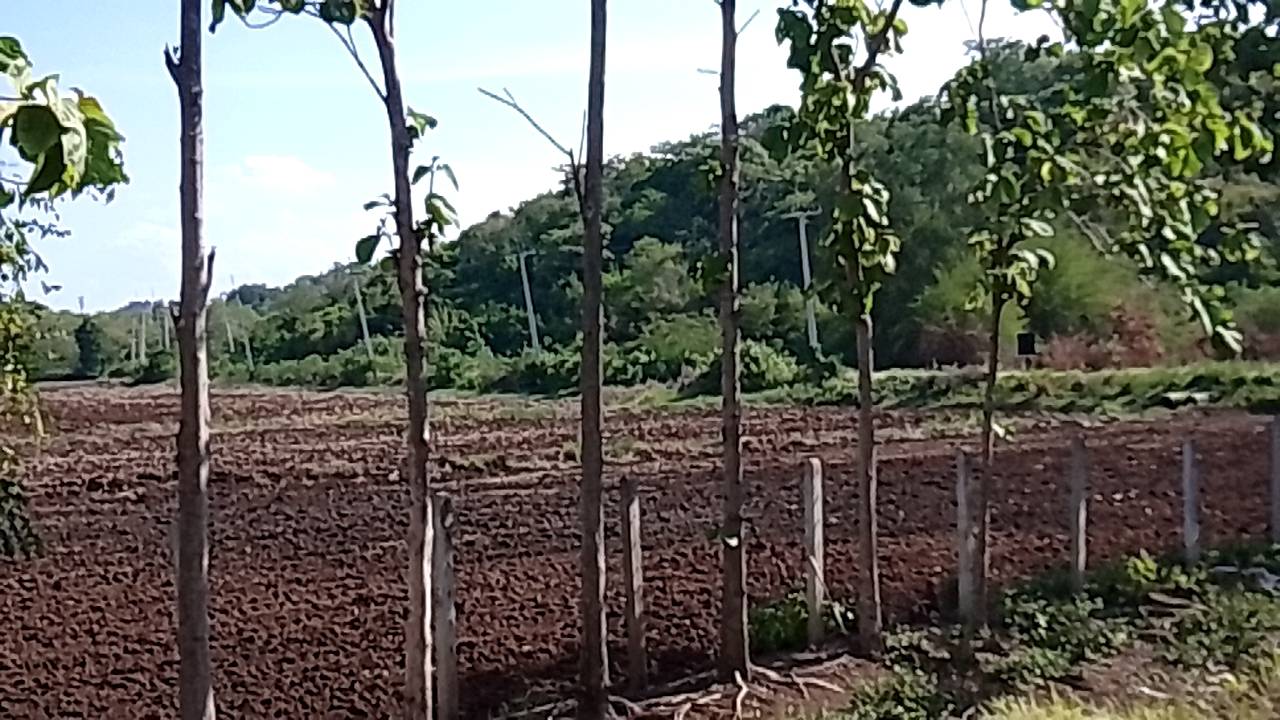 ขายที่ดินทำเลดี พร้อมโฉนดครุฑแดง ต.ช่องแค อ.ตาคลี จ.นครสวรรค์ จำนวน 62 ไร่ 1 งาน (ไม่เเบ่งขาย) เจ้าของขายเอง