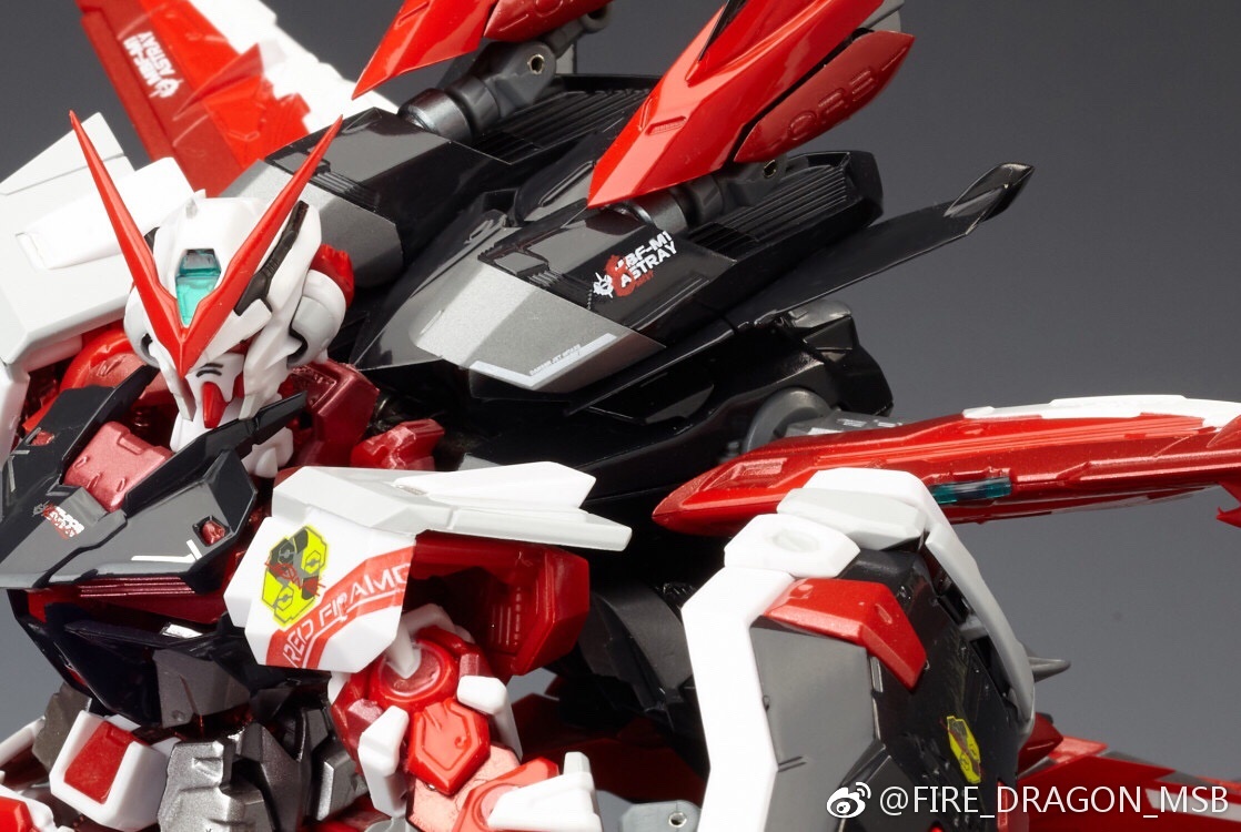 Metal build 1/100 ASTRAY RED FRAME + Back Pack part [Fired Dragon]