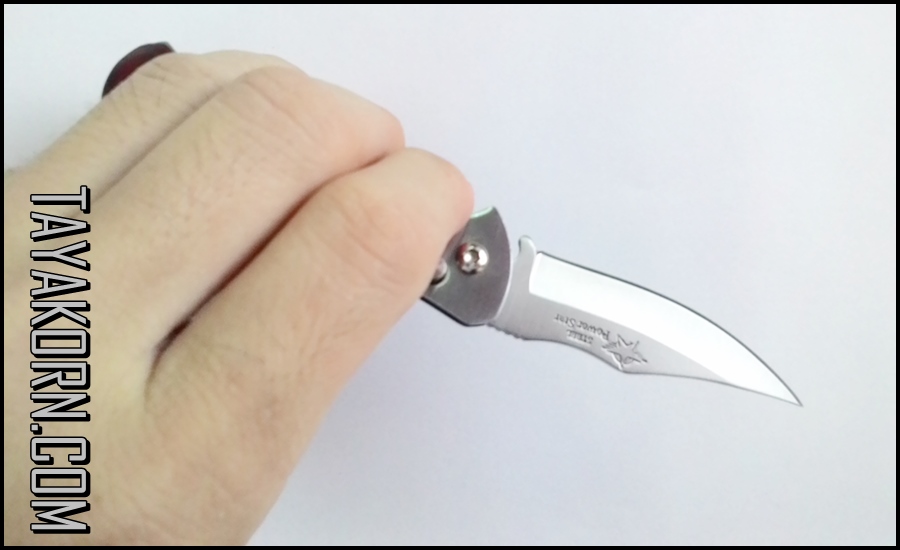 มีดพับมินิดาวินชี่ Mini-Davinci Folding Knife (มีดพับสปริง)