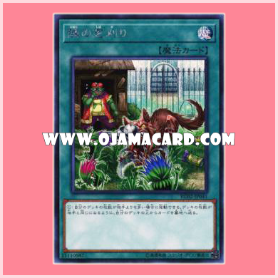 RC02-JP041 : That Grass Looks Greener / Lawnmowing Next Door (Secret Rare)