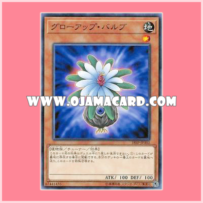 18SP-JP302 : Glow-Up Bulb (Common)