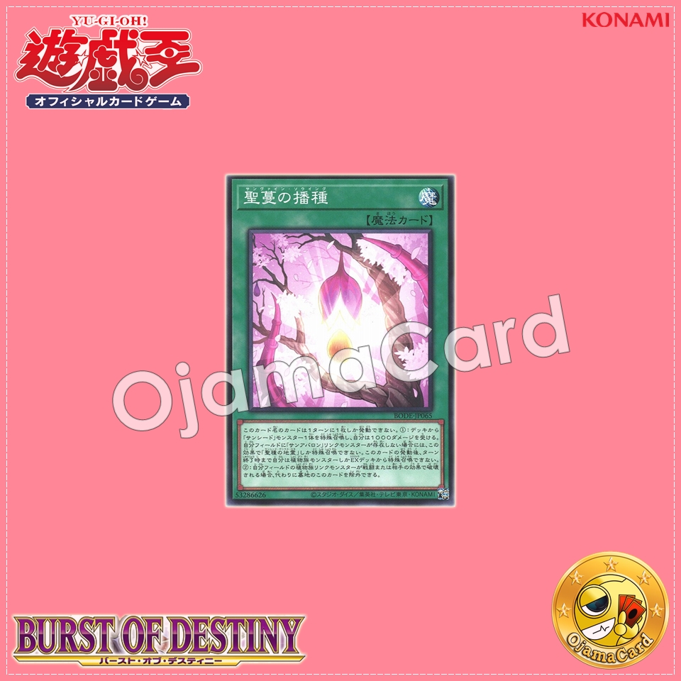 BODE-JP065 : Sunvine Sowing / San Vine Sowing (Common)