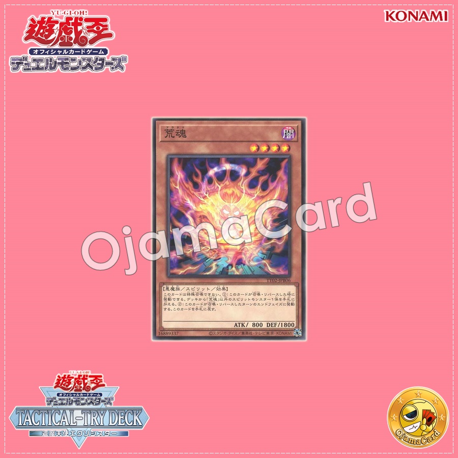 TT02-JPB06 : Aratama / Wild Soul (Common)