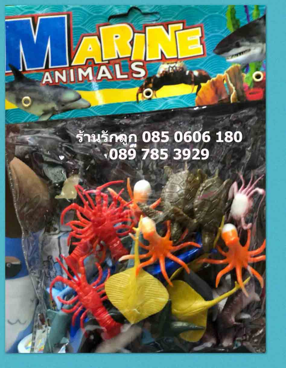โมเดลสัตว์ทะเล แมวน้ำ ปลากระเบน กุ้ง ฉลาม ปลาหมึก ปลาดาว ปู เต่า