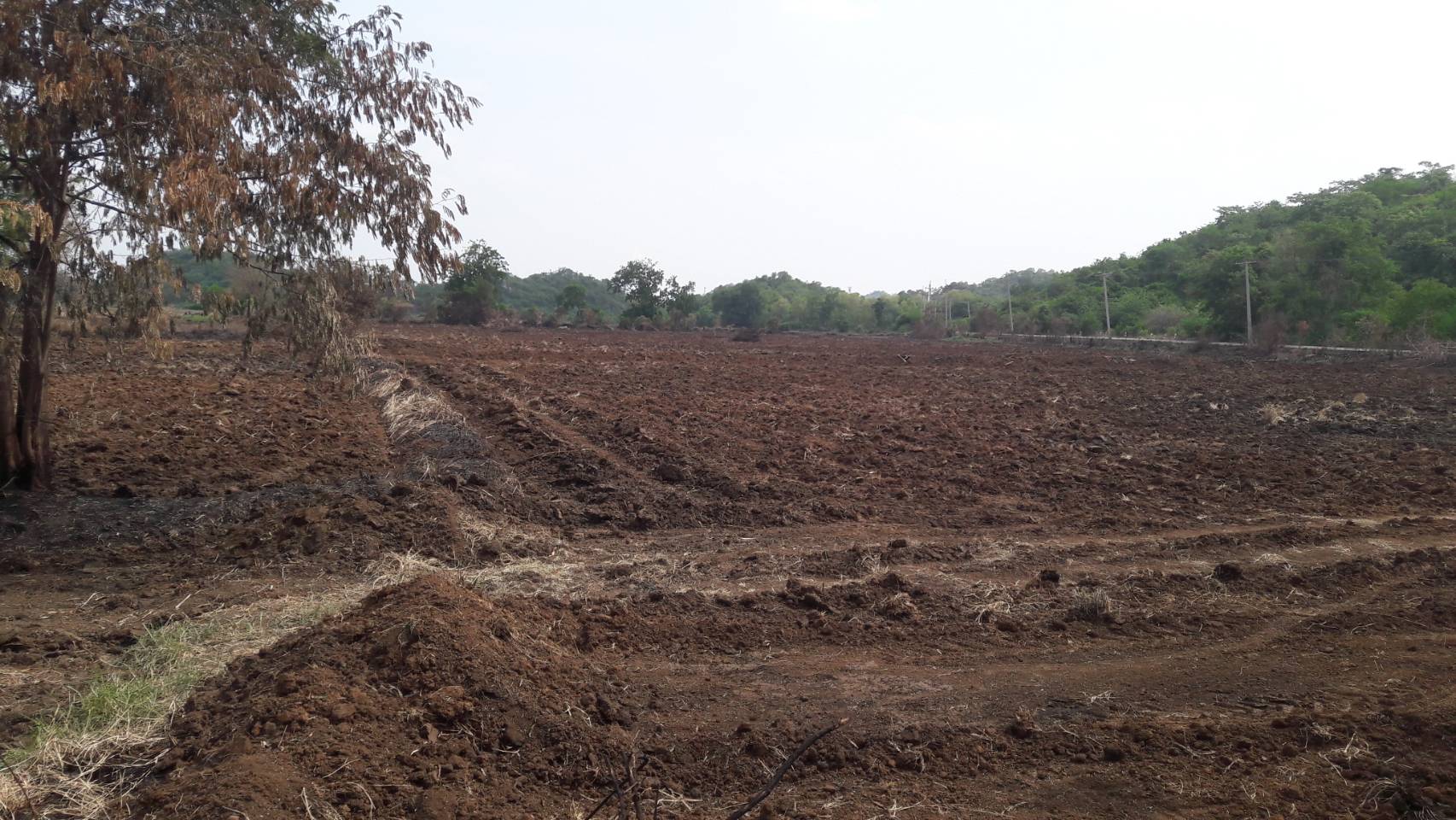 ขายที่ดินทำเลดี พร้อมโฉนดครุฑแดง ต.ช่องแค อ.ตาคลี จ.นครสวรรค์ จำนวน 62 ไร่ 1 งาน (ไม่เเบ่งขาย) เจ้าของขายเอง