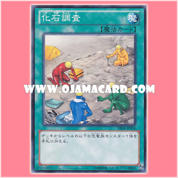 DE04-JP034 : Fossil Dig / Fossil Examination (Common)