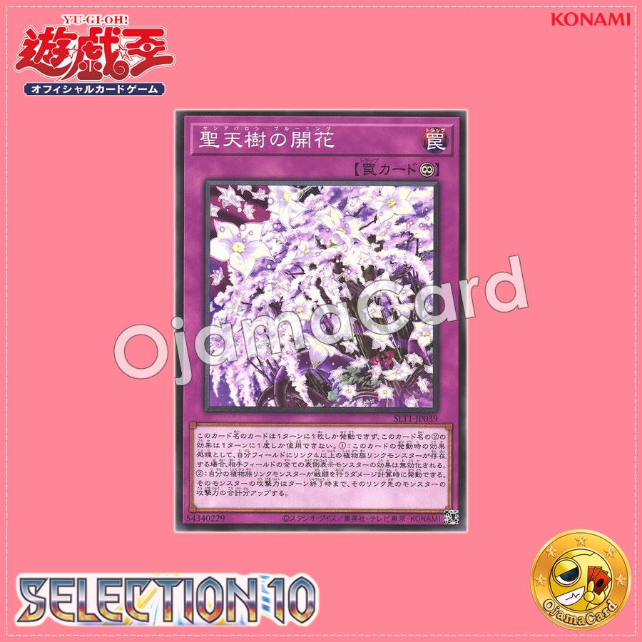 SLT1-JP039 : Sunavalon Bloom / San Avalon Blooming (Common)