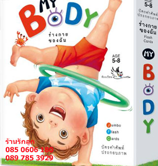 บัตรคำศัพท์ ร่างกายของฉัน My Body